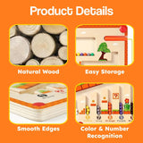 Montessori Magnetic Color and Number Maze