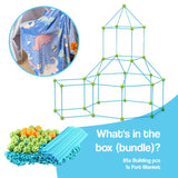 Intro to Engineering Fort Builder (view 12)