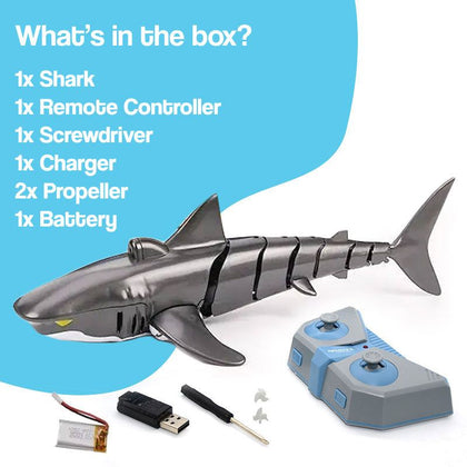 Shark