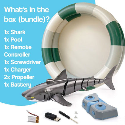 Shark + Pool