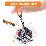 Multi-Sensory Developmental Toys Kit