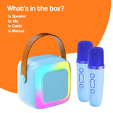 Family Fun Karaoke Machine with wireless speaker, two blue microphones, cable, and manual for kids aged 3+