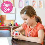 RainbowMatch STEM Brain Puzzle Ball