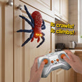 2-in-1 Climbing and Crawling RC Spider