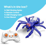 2-in-1 Climbing and Crawling RC Spider