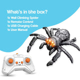2-in-1 Climbing and Crawling RC Spider