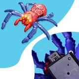 2-in-1 Climbing and Crawling RC Spider