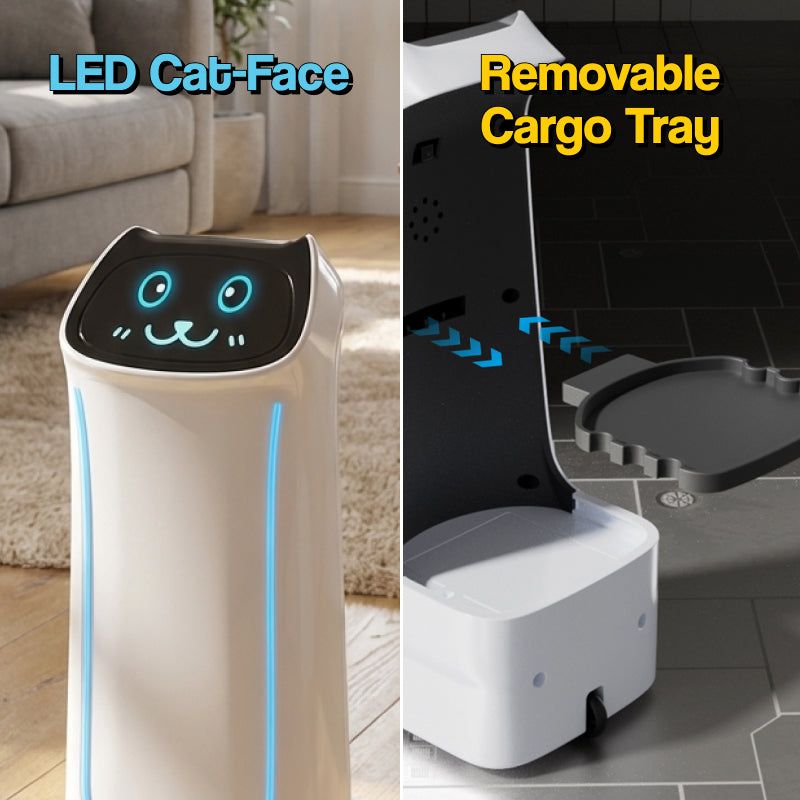 SnackBot the Delivery Robo-Kitty