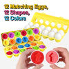Montessori Shape & Color Matching Eggs