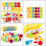 Montessori Shape & Color Matching Eggs