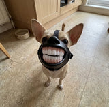DogySmile™