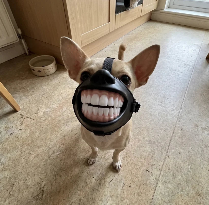 DogySmile™