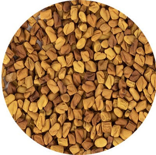 Fenugreek