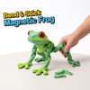 Poseable Magnetic Frog