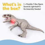 Big T-Rex Dinosaur Figure with Roar Sound & Light