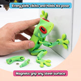 Poseable Magnetic Frog
